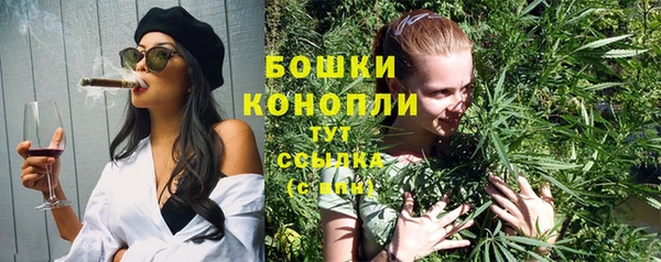 бутират Богданович