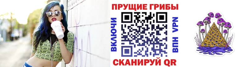 MEGA вход Павловск Галлюциногенные грибы Psilocybine cubensis